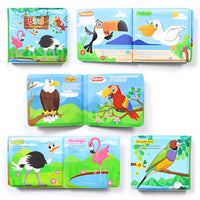 Oiseaux