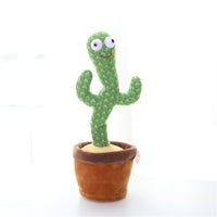 Cactus dansant